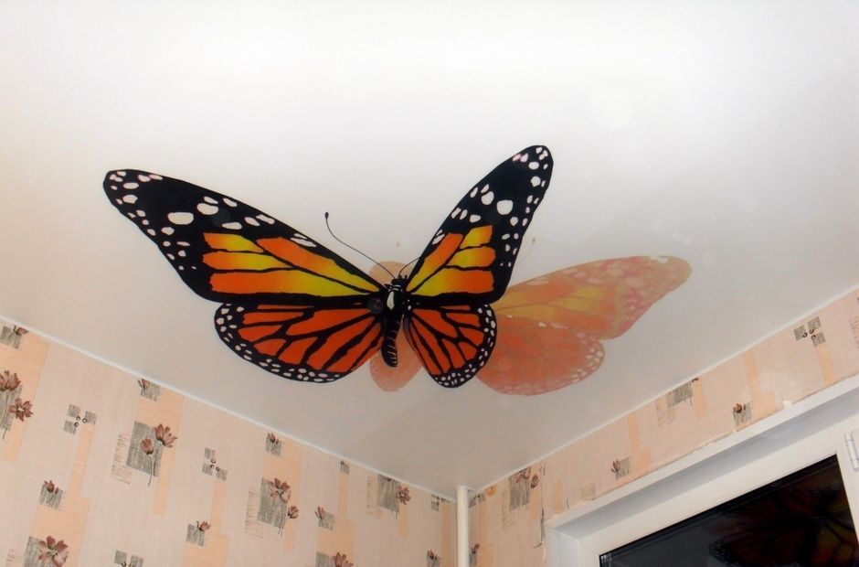 рисунок бабочка на натяжном потолке